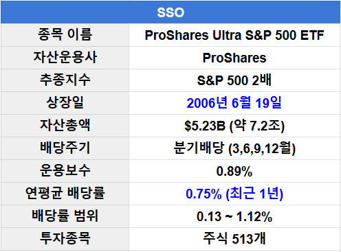 SSO 장기투자 수익률